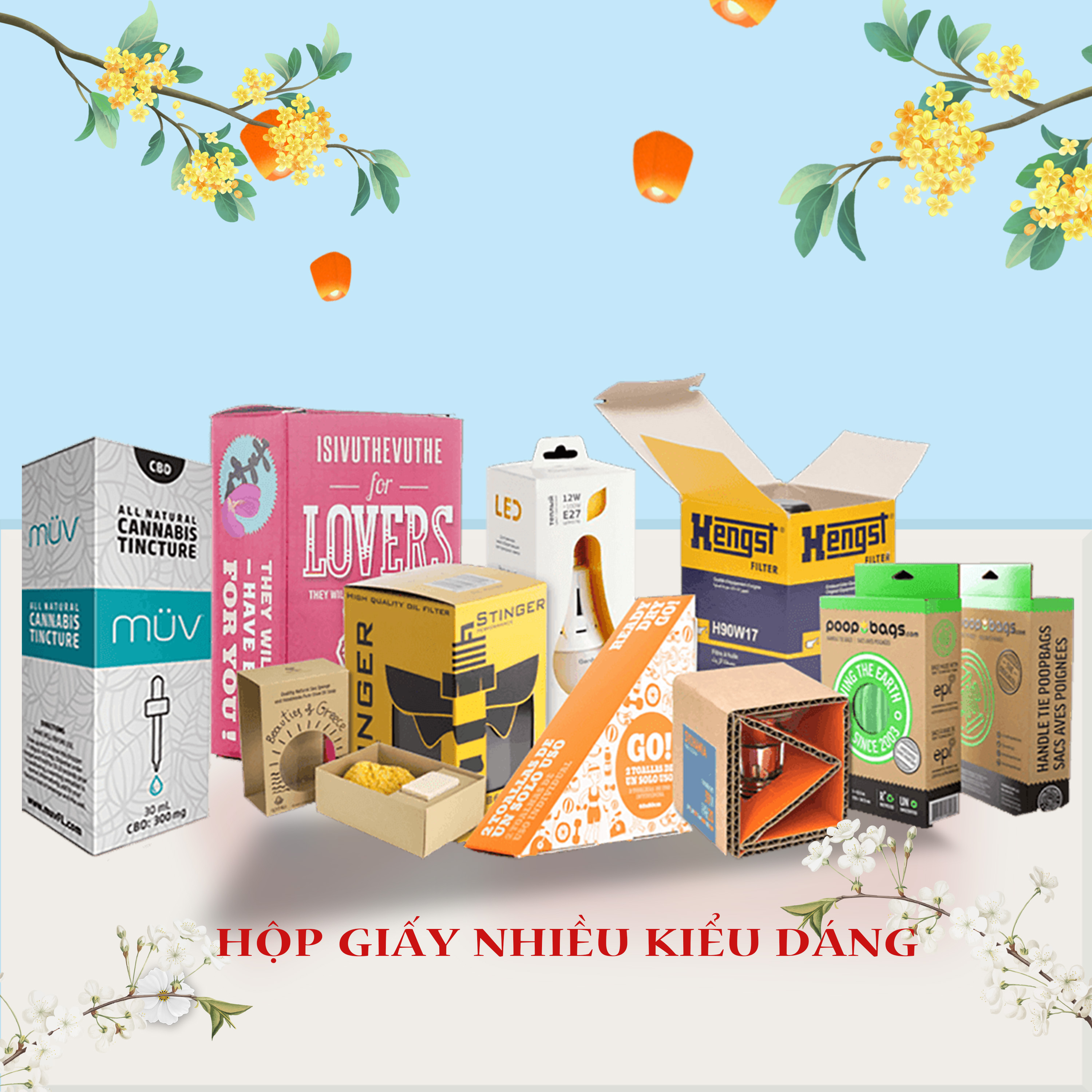 Hộp Giấy Các Loại