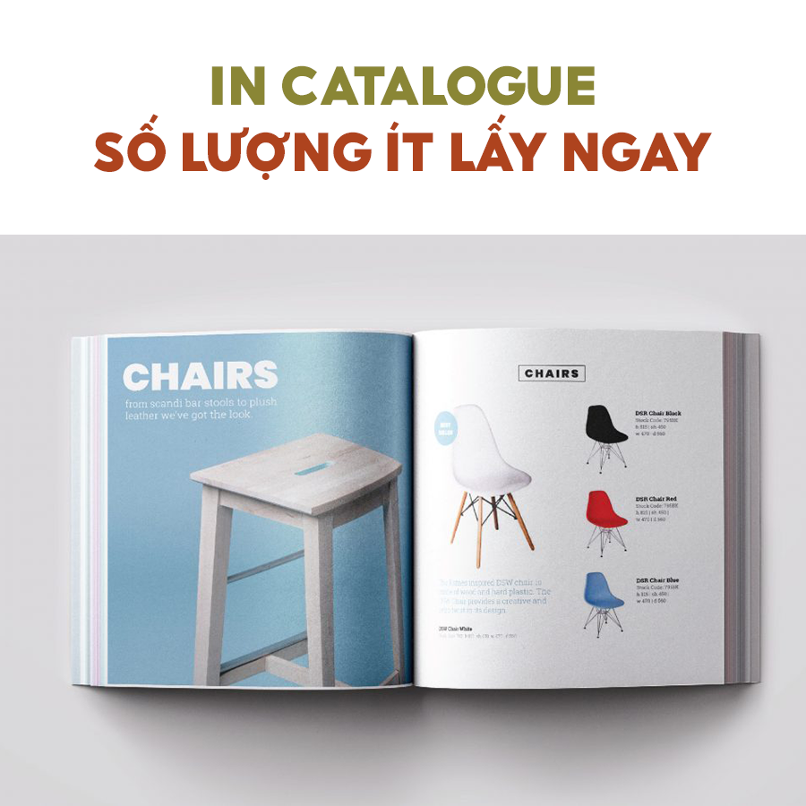 In catalogue số lượng ít lấy ngay