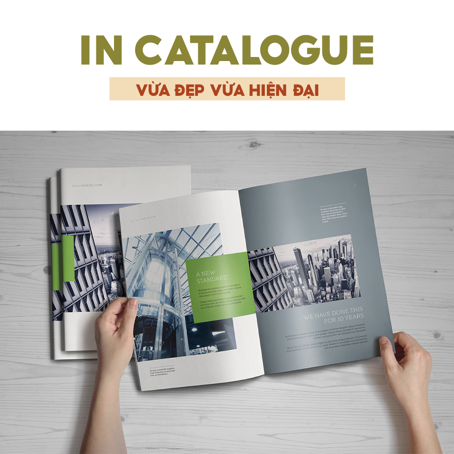 In catalogue đẹp hiện đại ở đâu
