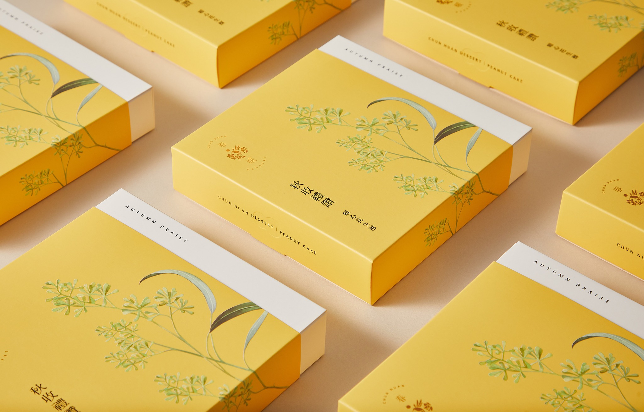 in ấn bao bì hộp giấy tận xưởng