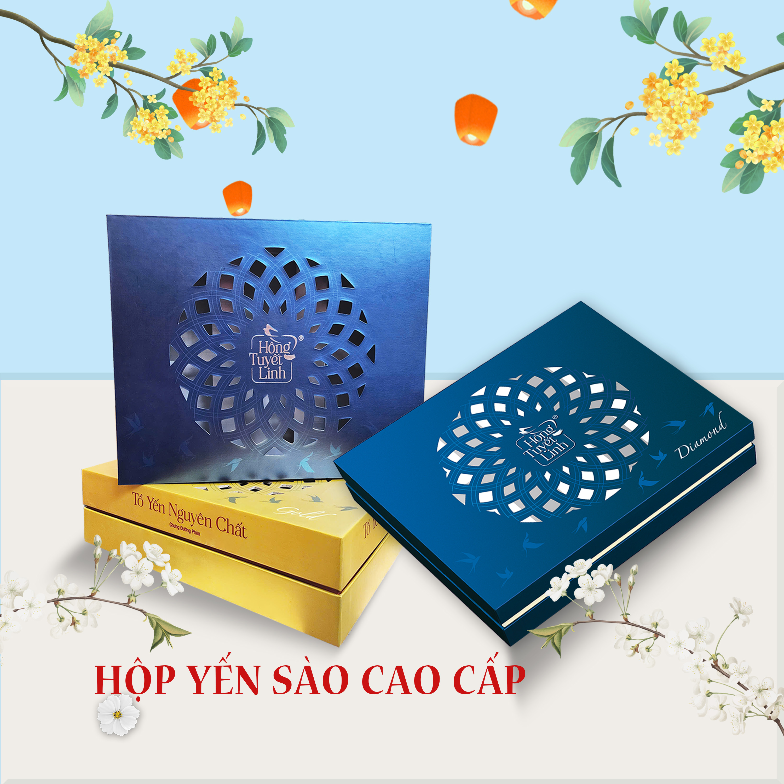 Hộp Đựng Yến Sào Cao Cấp